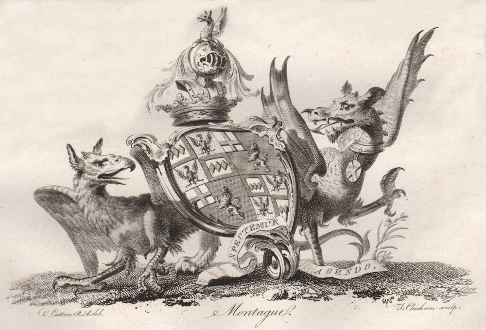 MONTAGUE. Coat of Arms. Heraldry 1790 old antique vintage print picture